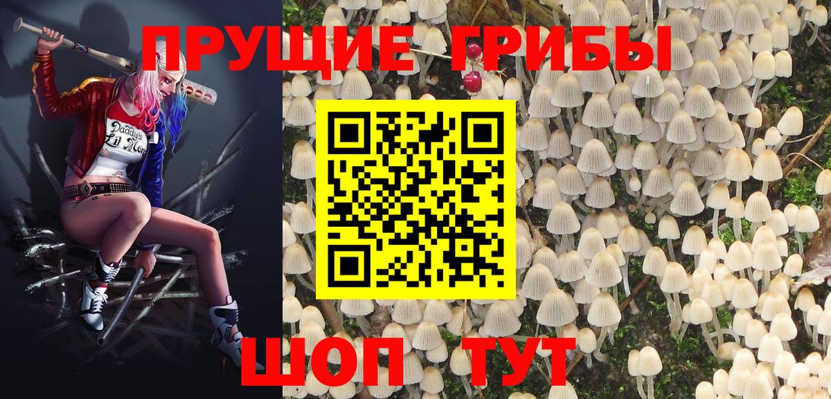 Галлюциногенные грибы Psilocybine cubensis  Галлюциногенные грибы Psilocybe  Вход с VPN  Железноводск 