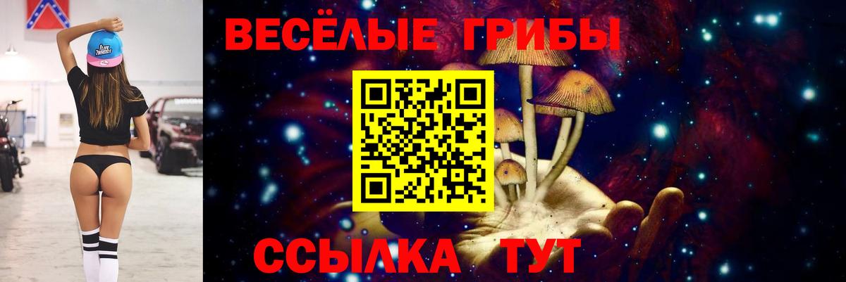 Псилоцибиновые грибы Psilocybine cubensis Железноводск